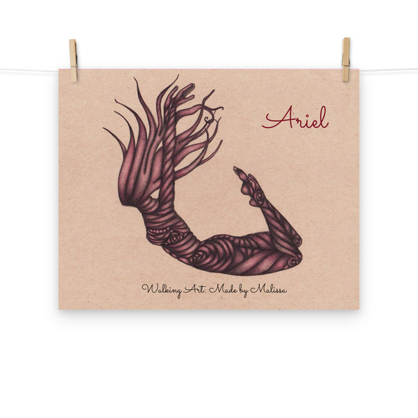 Ariel 12X16